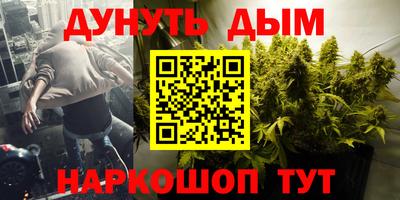 шишки Коммунар