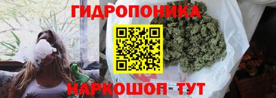 шишки Конаково