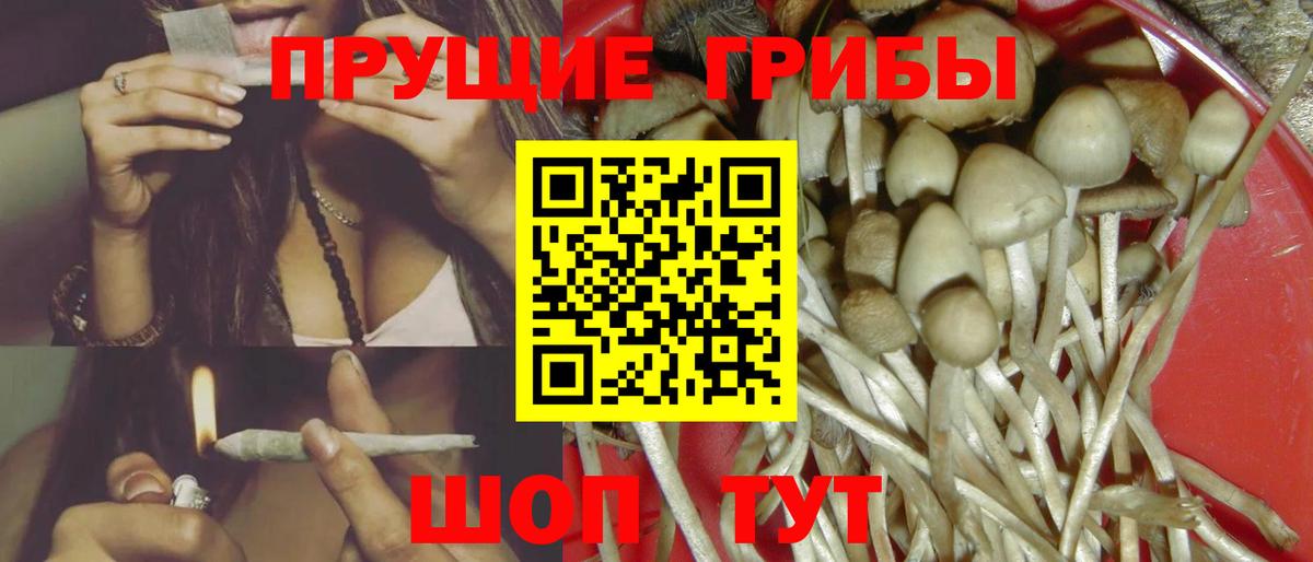 Галлюциногенные грибы мухоморы Зеленогорск
